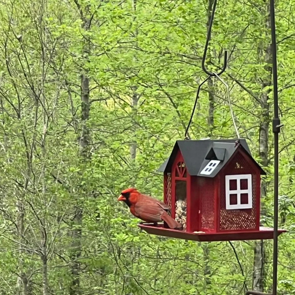 Metal bird feeder house